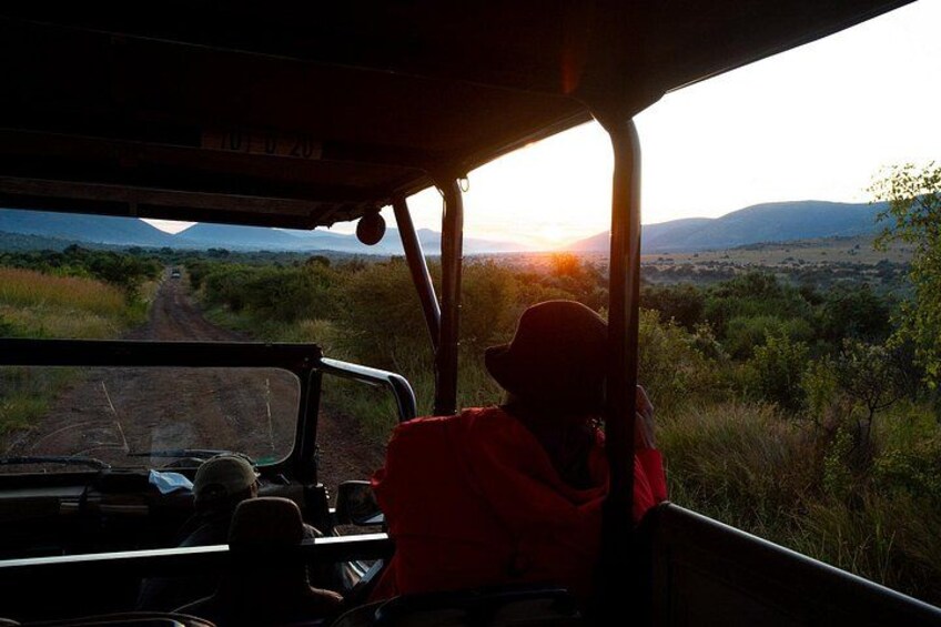 Full Day Pilanesberg Safari Adventure 5