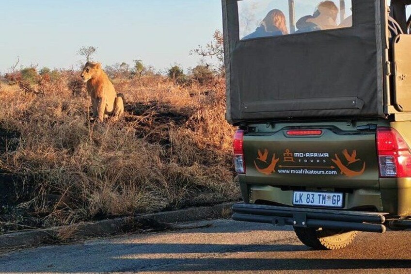 Full Day Pilanesberg Safari Adventure 3