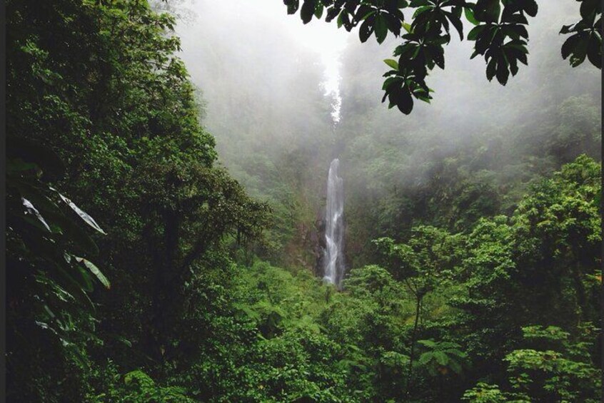 A waterfall surrounded by dense forest. 4