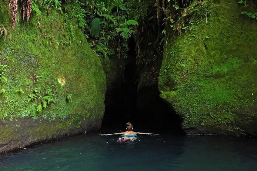 Venture into the depths of nature. 4