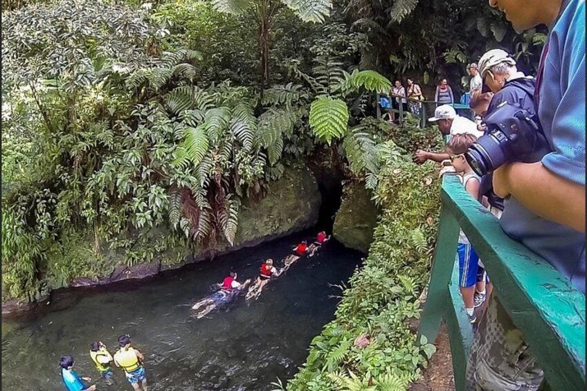 Swim into the gorge if you dare. 2