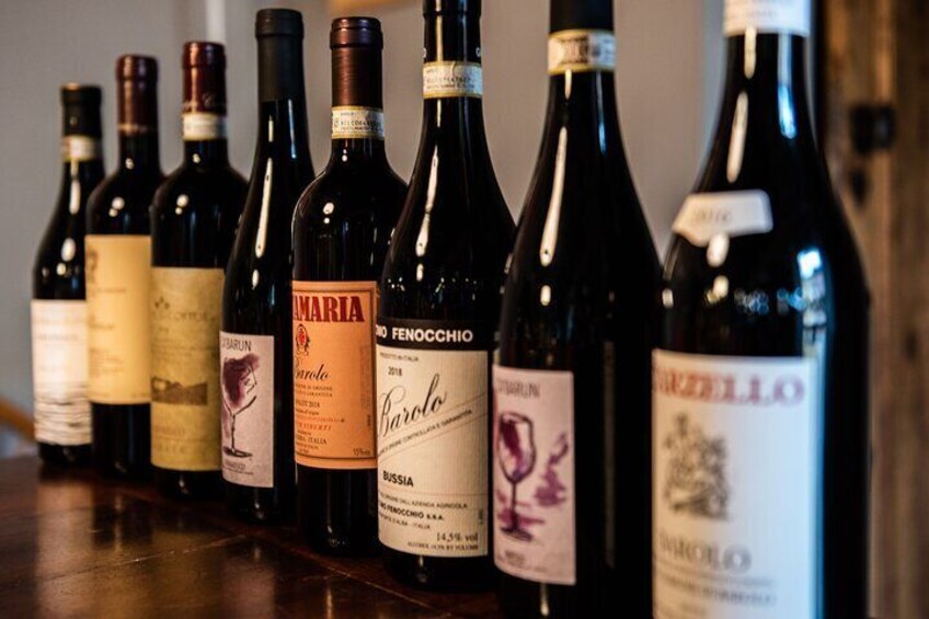 Langhe Barolo and Barbaresco Wine Tasting 