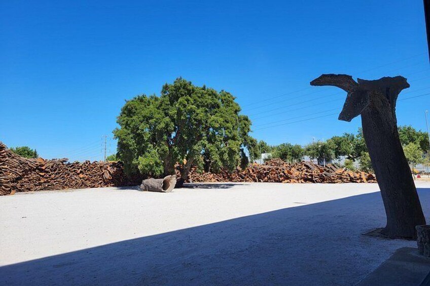 Private Évora Tour - Megaliths, Historical Center and Cork Region 3