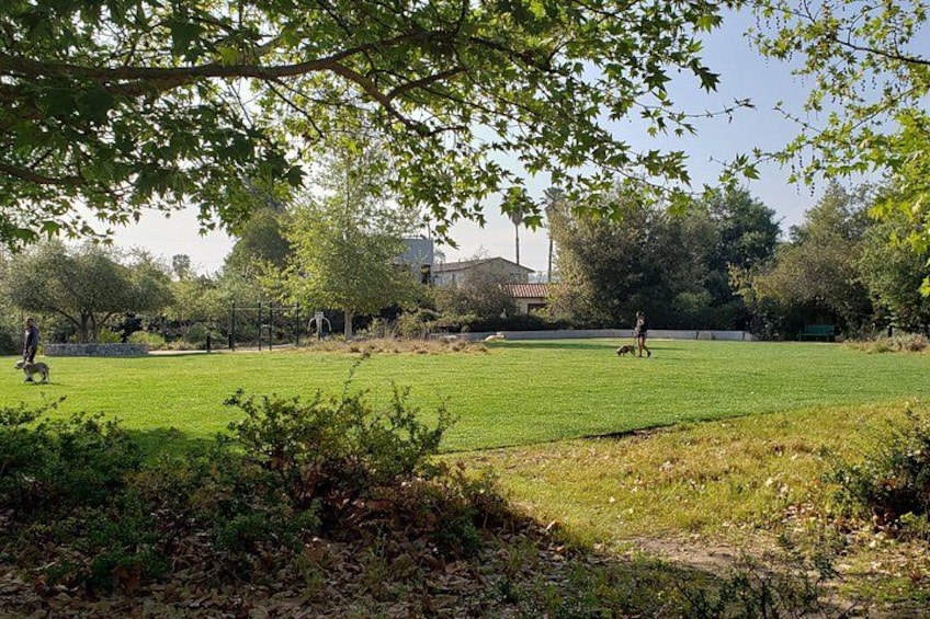 Een park met een groen veld, bomen en een gebouw op de achtergrond. 3