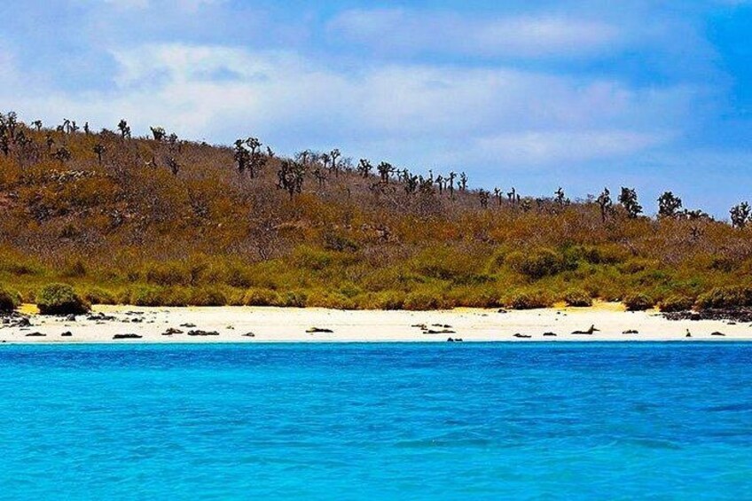 A beach with clear blue water, sandy shore, and a hill with sparse vegetation in the background. 3