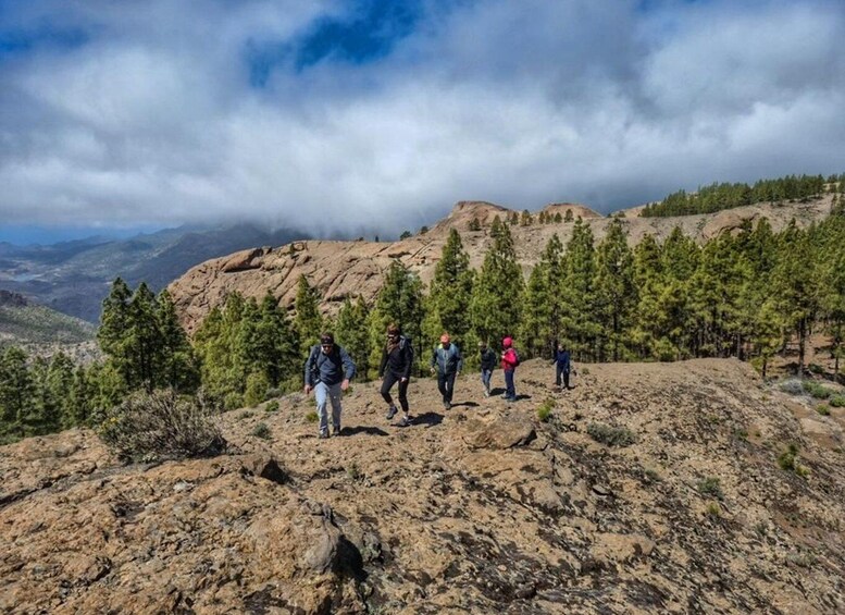Picture 8 for Activity Gran Canaria: "Peaks of Gran Canaria" Hiking Tour 5
