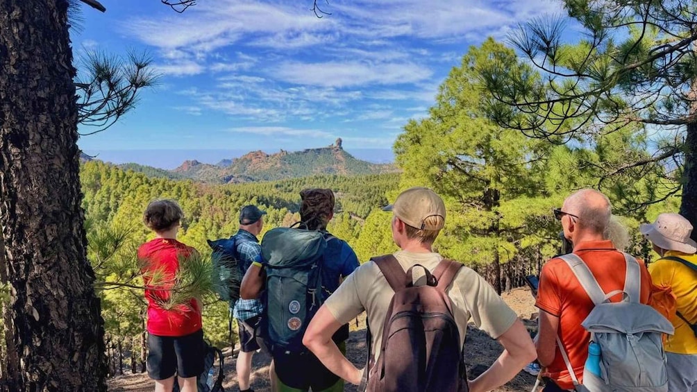 Gran Canaria: "Peaks of Gran Canaria" Hiking Tour 4