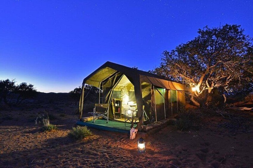 A tented structure in a desert at night with a tree nearby. 4