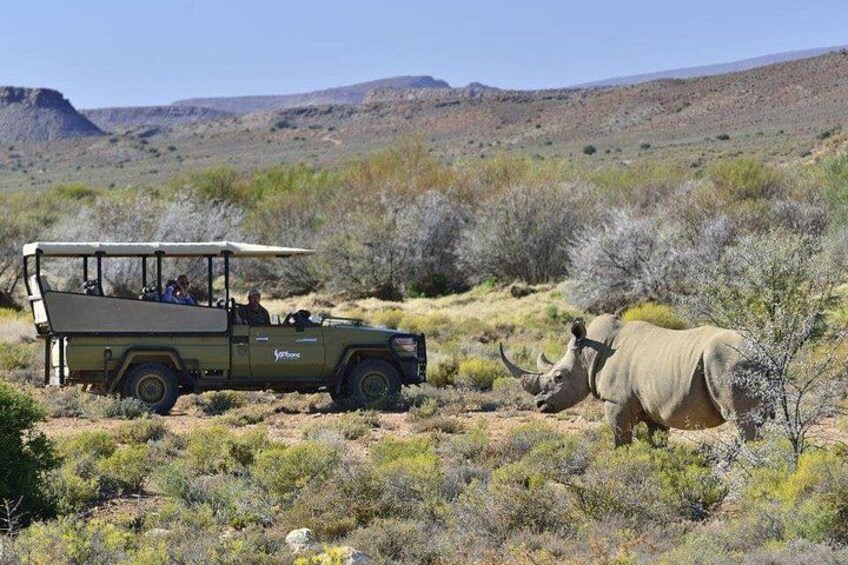A safari vehicle with passengers, a rhinoceros, and a desert landscape. 1