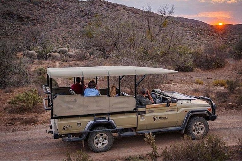 A safari vehicle with passengers observing wildlife in a desert landscape. 2