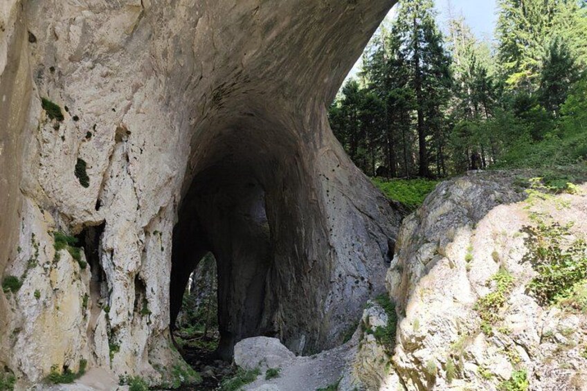 A large rock formation with a natural archway, surrounded by forest. 3