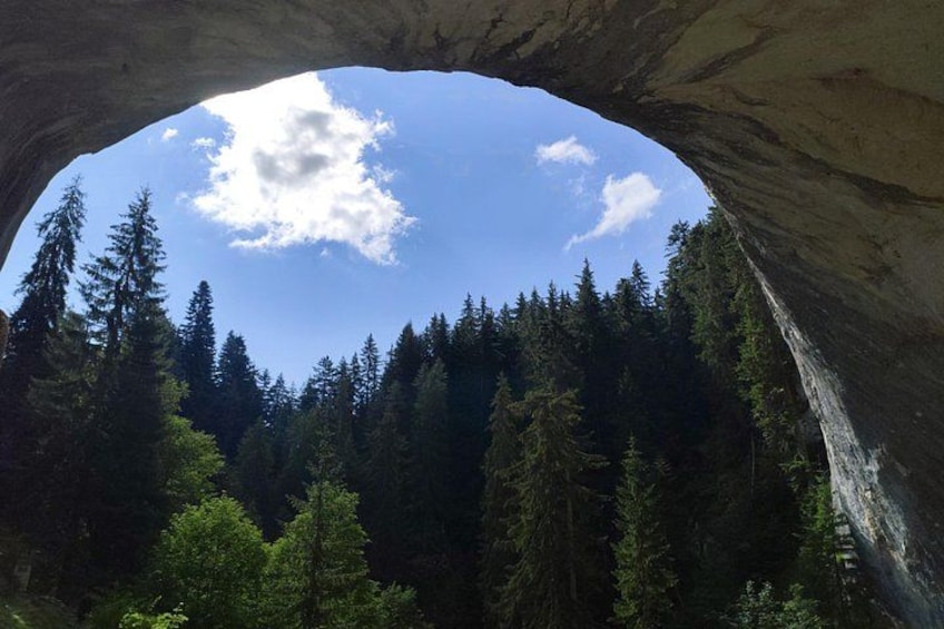 A forested area with a large rock archway. 4