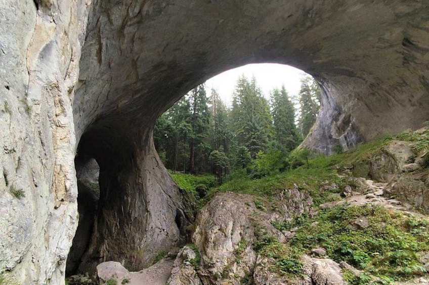 A natural rock arch formation with a forested background. 2