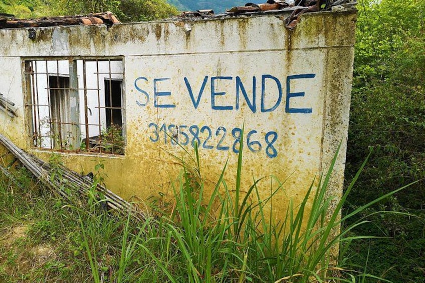 A weathered concrete structure with a window and graffiti, surrounded by overgrown grass. 4