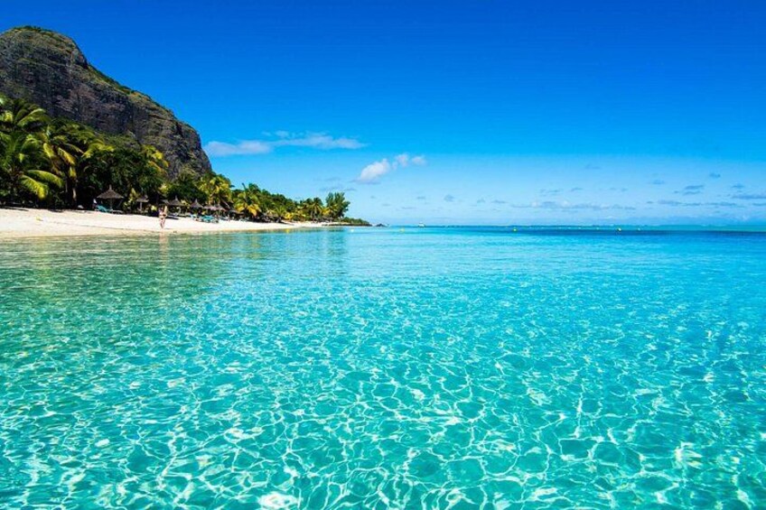 Private Speed Boat Tour and Dolphin Encounter at Ile aux Benitier 3