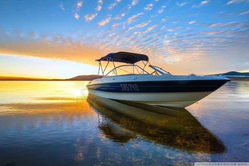 Private Speed Boat Tour and Dolphin Encounter at Ile aux Benitier 1