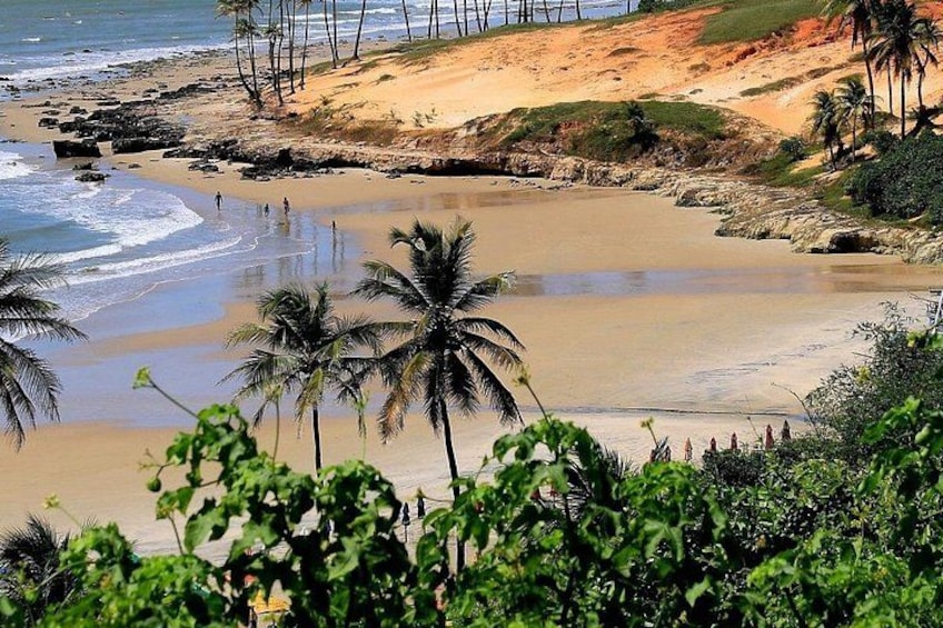 Full Day Tour to Praia da Lagoinha from Fortaleza 3