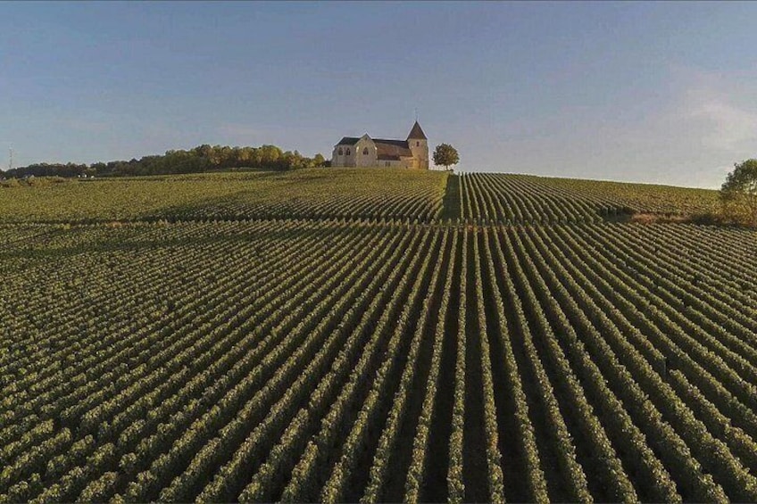 Private Full Day Tour to Champagne from Paris, Visit of 2 Champagne Producers 2