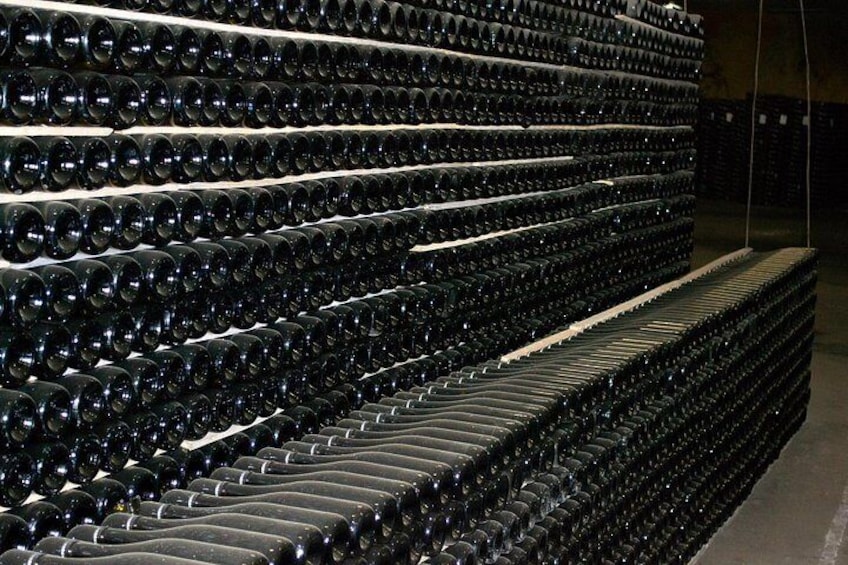 Private Full Day Tour to Champagne from Paris, Visit of 2 Champagne Producers 3