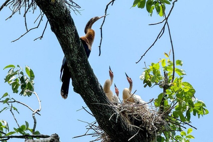Silver Springs Kayak Tour - Best price, Best Gear, Free Photos 1