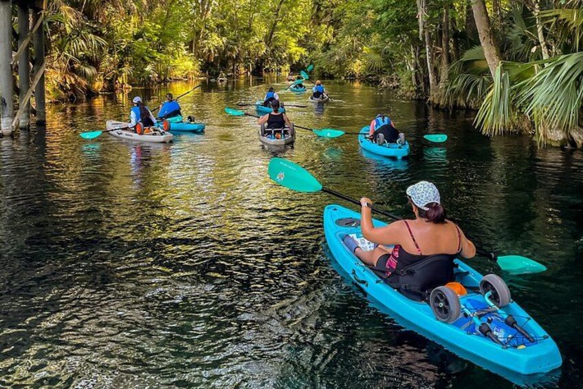 People kayaking on a river surrounded by dense greenery. 1