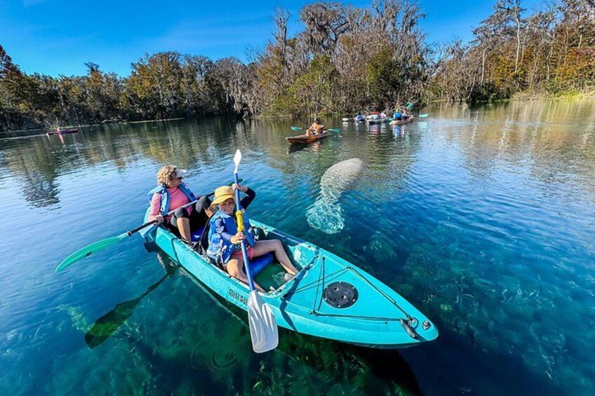 Silver Springs Kayak Tour - Best price, Best Gear, Free Photos 2