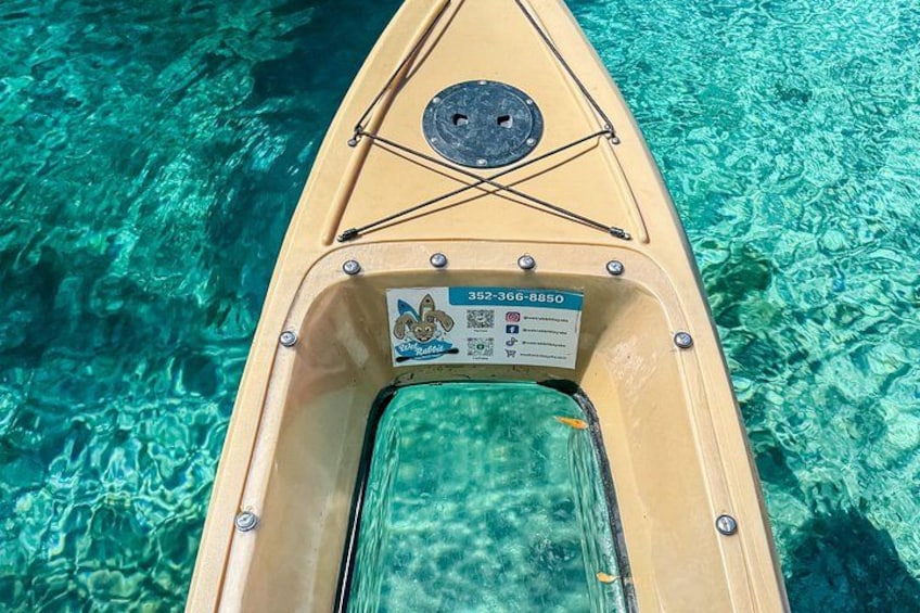 Silver Springs Kayak Tour - Best price, Best Gear, Free Photos 4