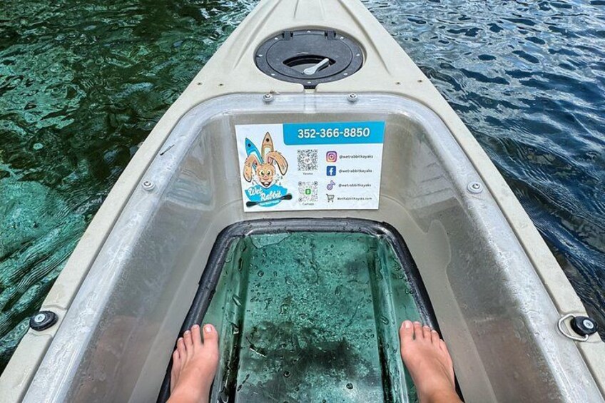 Silver Springs Kayak Tour - Best price, Best Gear, Free Photos 4