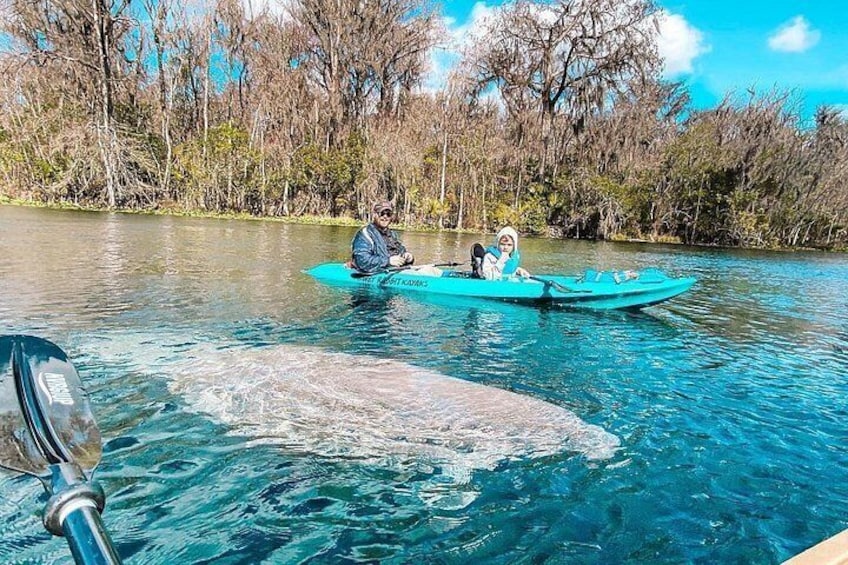 Silver Springs Kayak Tour - Best price, Best Gear, Free Photos 3