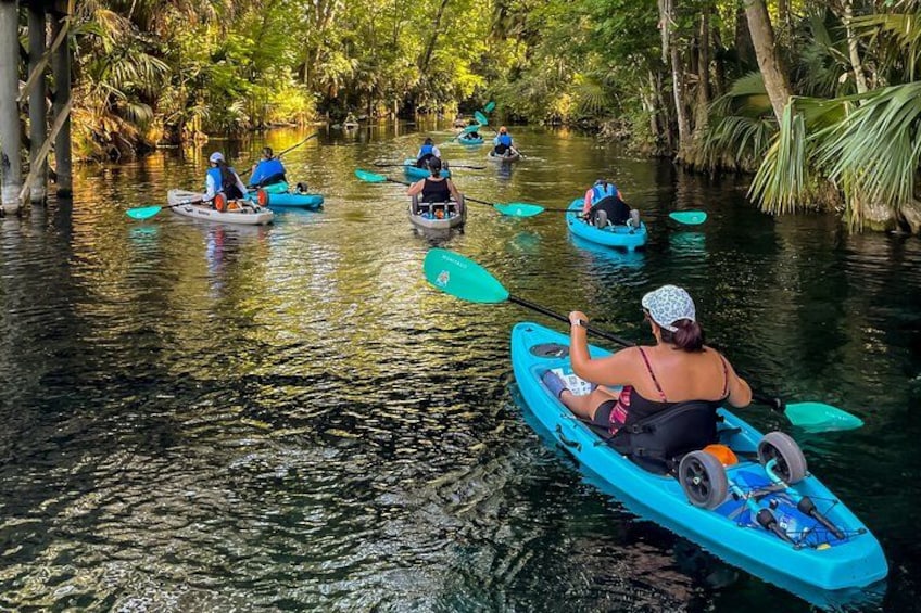 Silver Springs Kayak Tour - Best price, Best Gear, Free Photos 1
