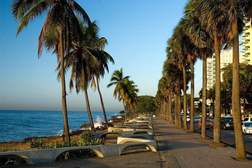 A coastal road lined with palm trees, a clear sky, and the ocean in the background. 2