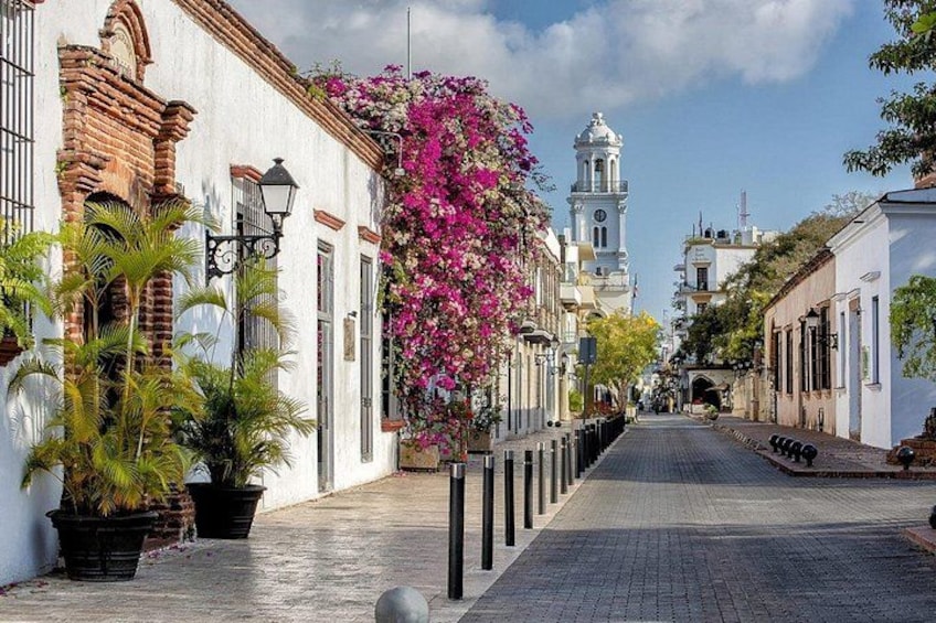 A cobblestone street lined with white buildings, a pink flowering tree, and a clock tower in the distance. 4
