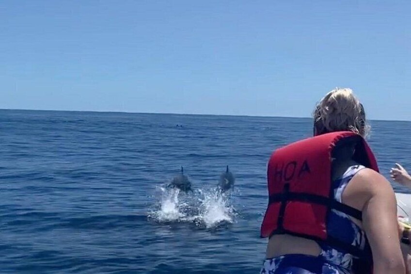 Une personne portant un gilet de sauvetage rouge, avec l'inscription « HOA » dans le dos, observe des dauphins dans l'océan. 4
