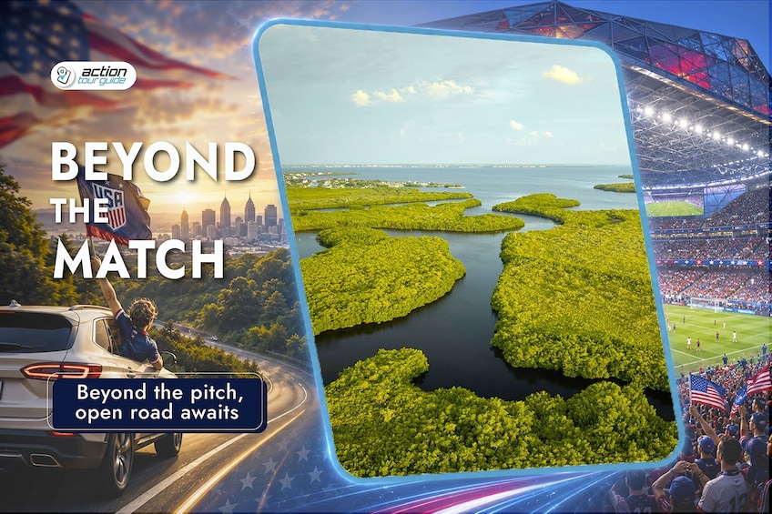 A sports stadium, a road with a car, and a mangrove landscape. 3