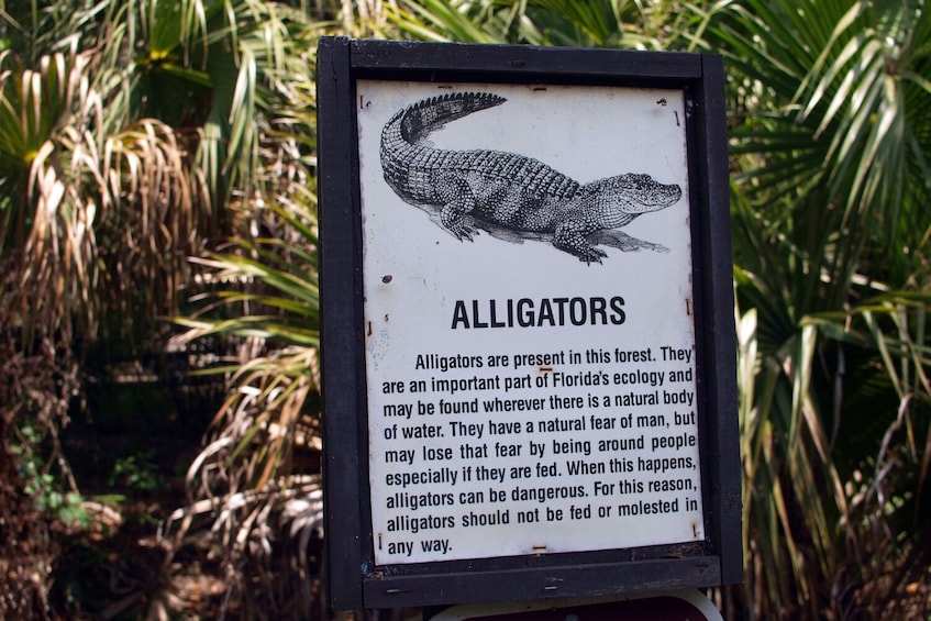 Everglades Tour: Self-Guided Drive 5