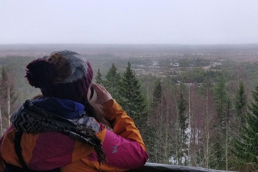 Half Day Hiking Tour in Beautiful Estonian Nature 2