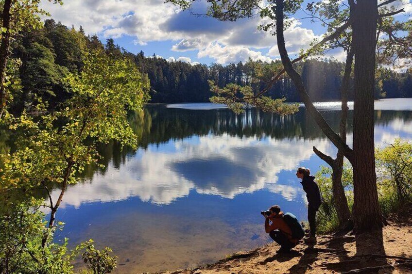 Half Day Hiking Tour in Beautiful Estonian Nature