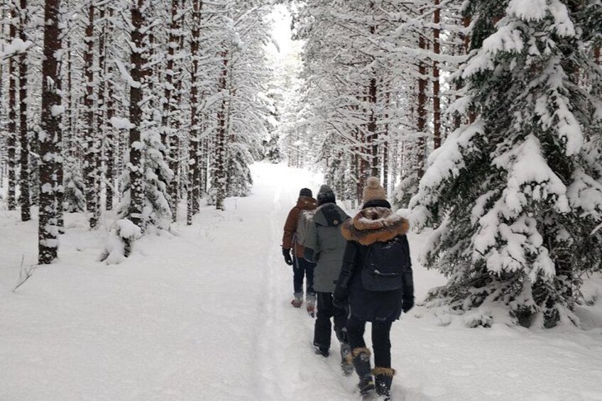 Half Day Hiking Tour in Beautiful Estonian Nature 2