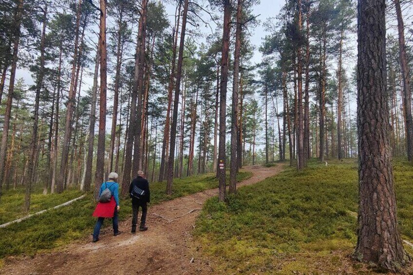 Half Day Hiking Tour in Beautiful Estonian Nature