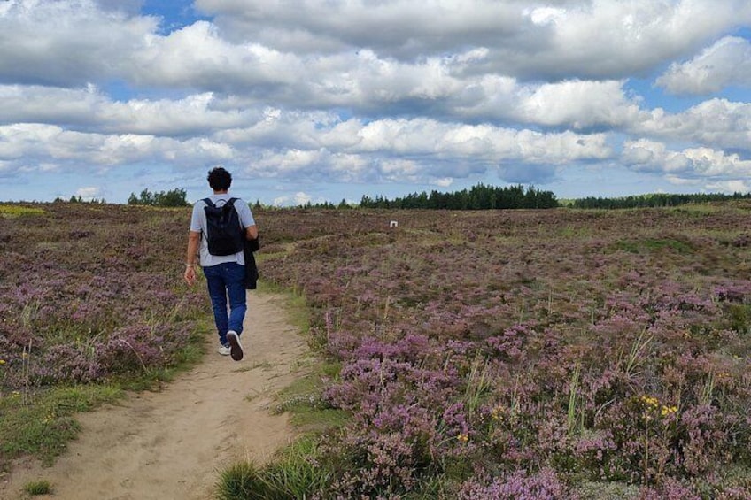 Half Day Hiking Tour in Beautiful Estonian Nature 2