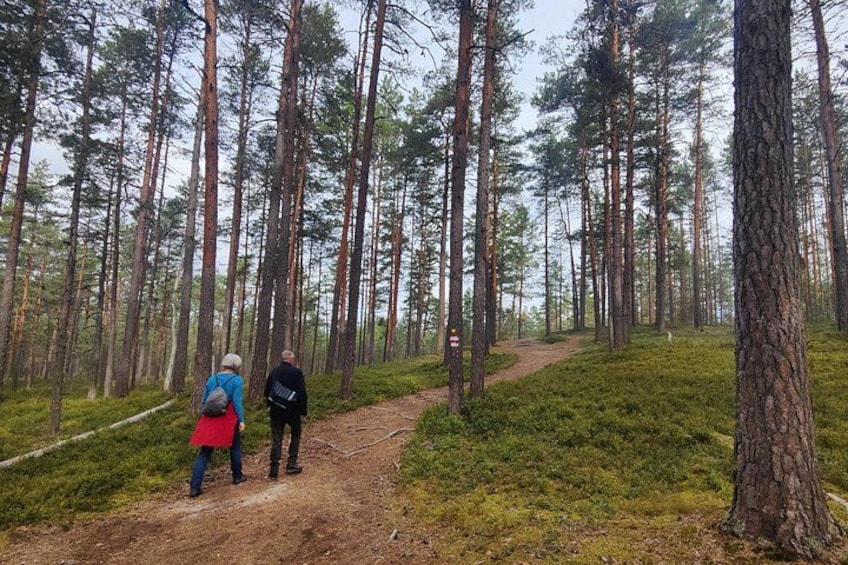 Half Day Hiking Tour in Beautiful Estonian Nature 2