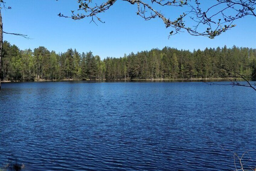 Half Day Hiking Tour in Beautiful Estonian Nature