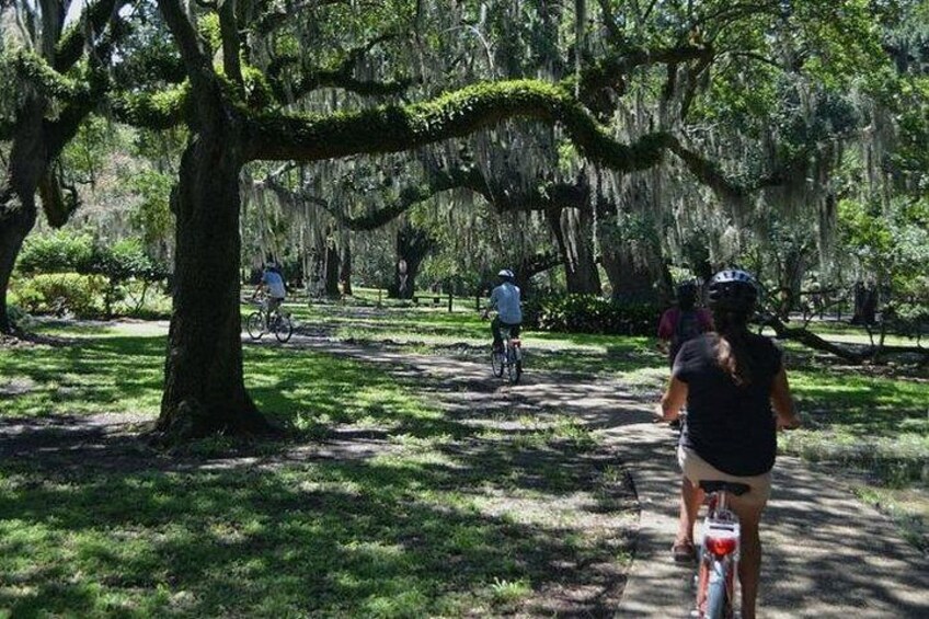 Beyond the French Quarter Bike Tour 2