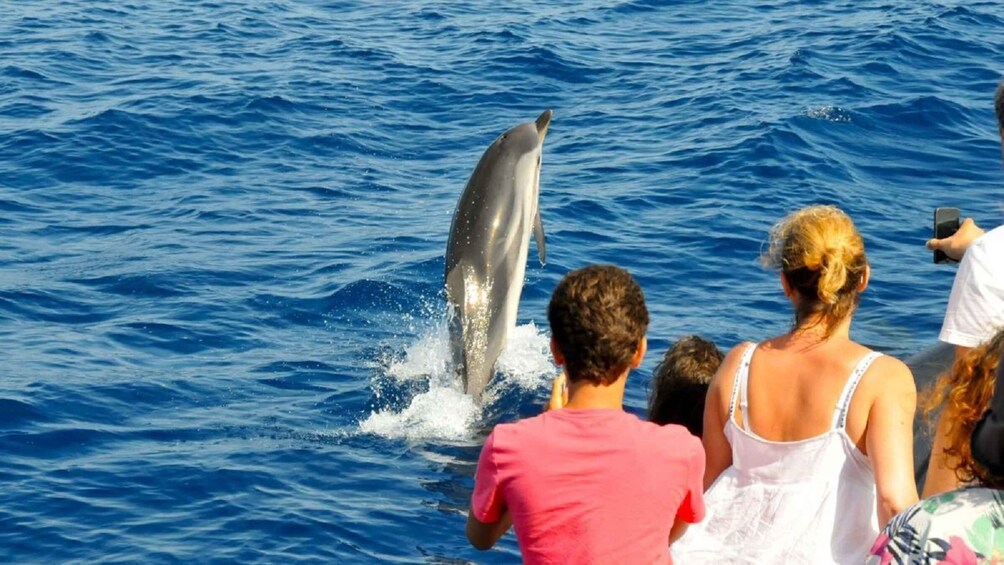 A dolphin jumping out of the water with people watching. 3
