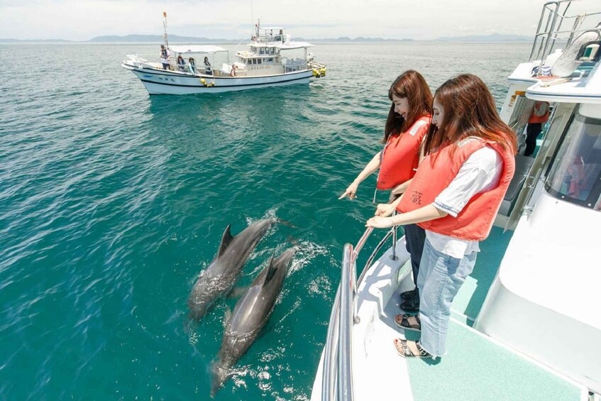 Two dolphins swimming near a boat with people wearing life jackets. 1