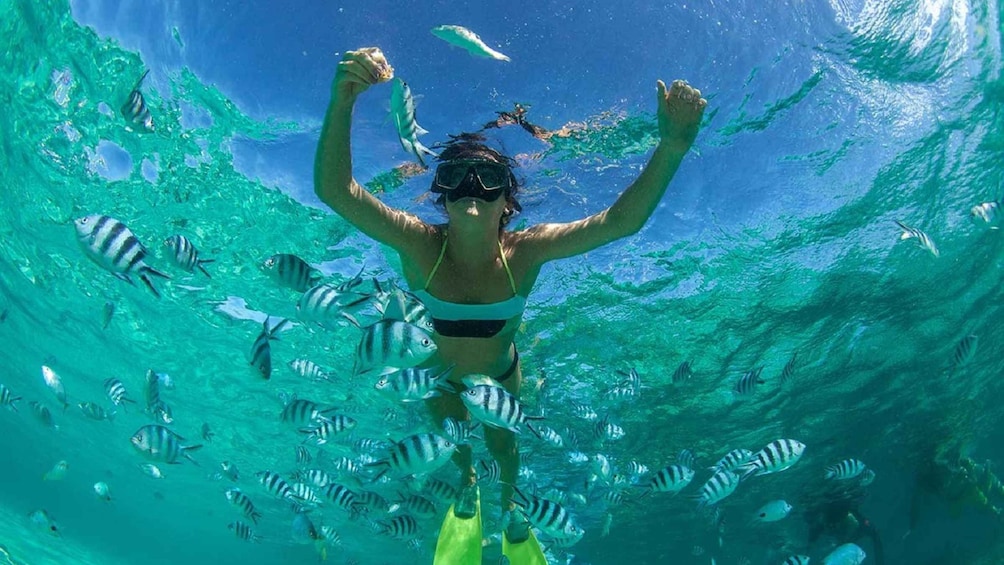 A person snorkeling underwater surrounded by fish. 5