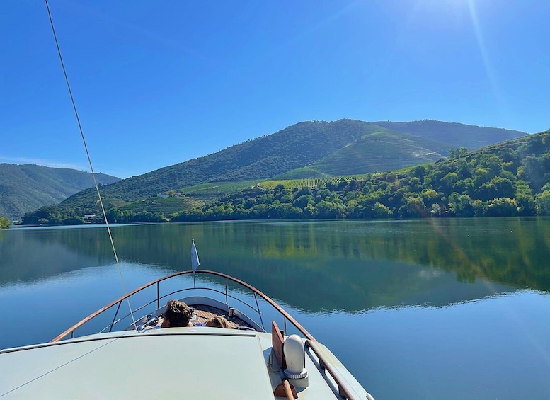 Picture 8 for Activity From Pinhão: Private Yacht Cruise along the Douro River 4