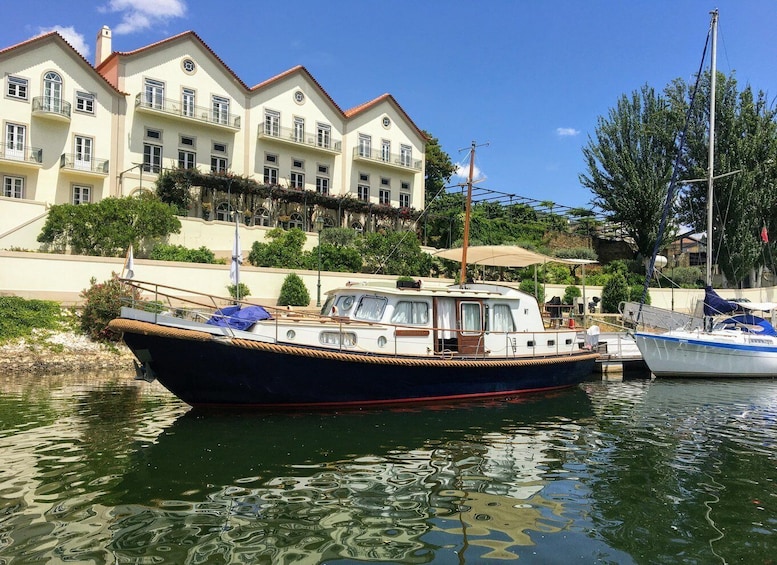 Picture 9 for Activity From Pinhão: Private Yacht Cruise along the Douro River 3