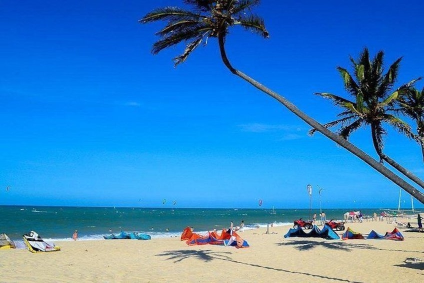 Una playa con palmeras, cielo azul despejado y varios sombrillas de colores. 2