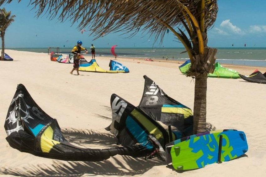 A beach with surfboards and a palm tree. 2